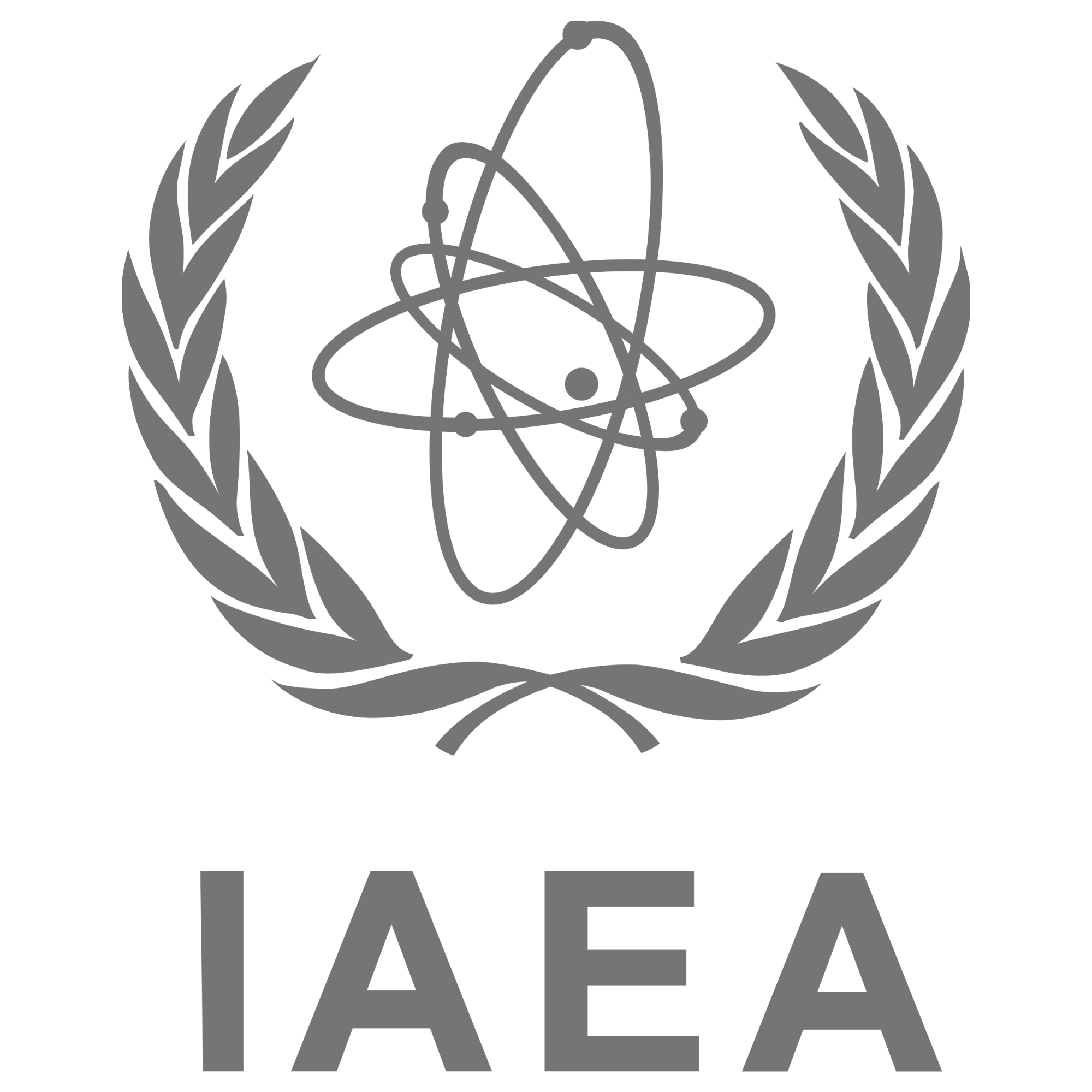 International Atomic Energy Agency